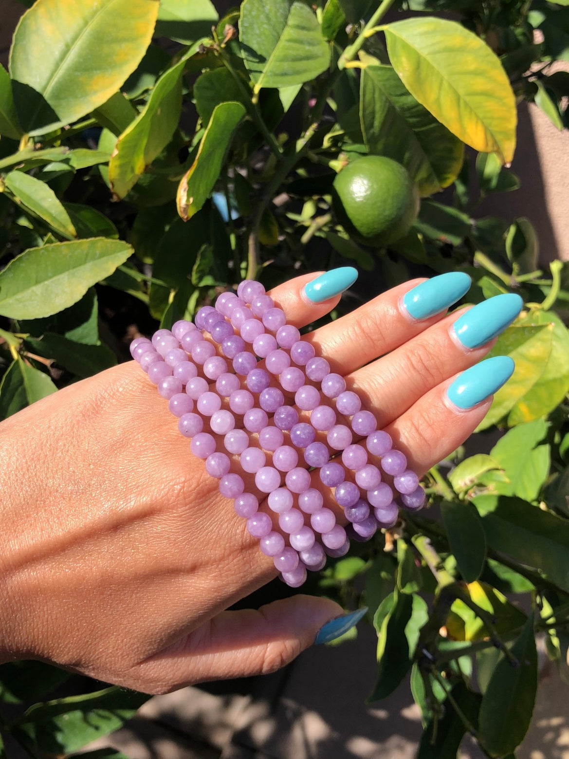 Lepidolite Bracelet