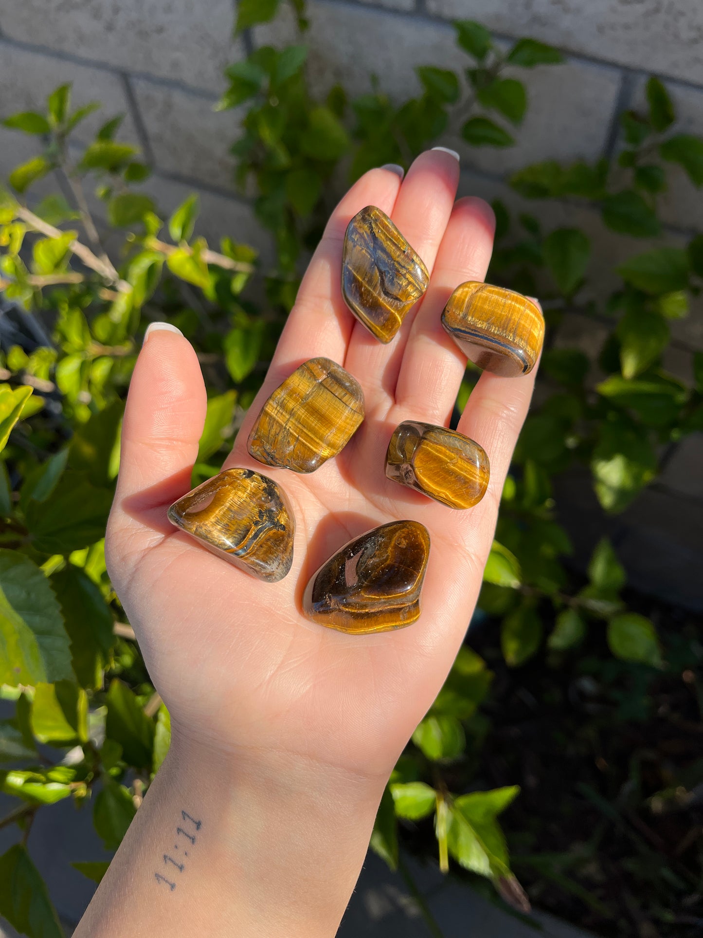 Tiger’s Eye