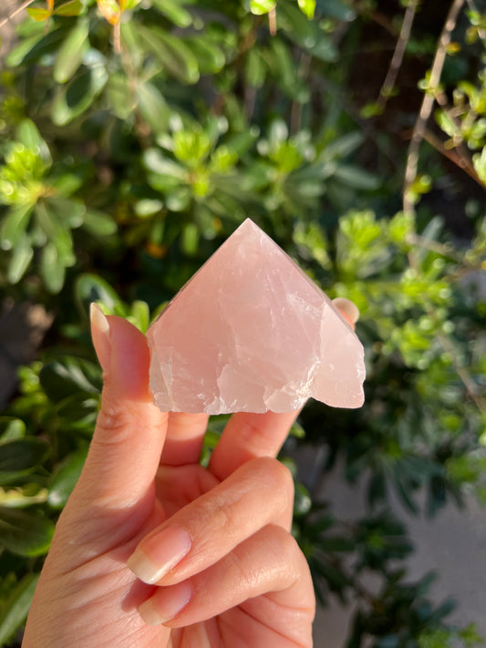 Rose Quartz Points