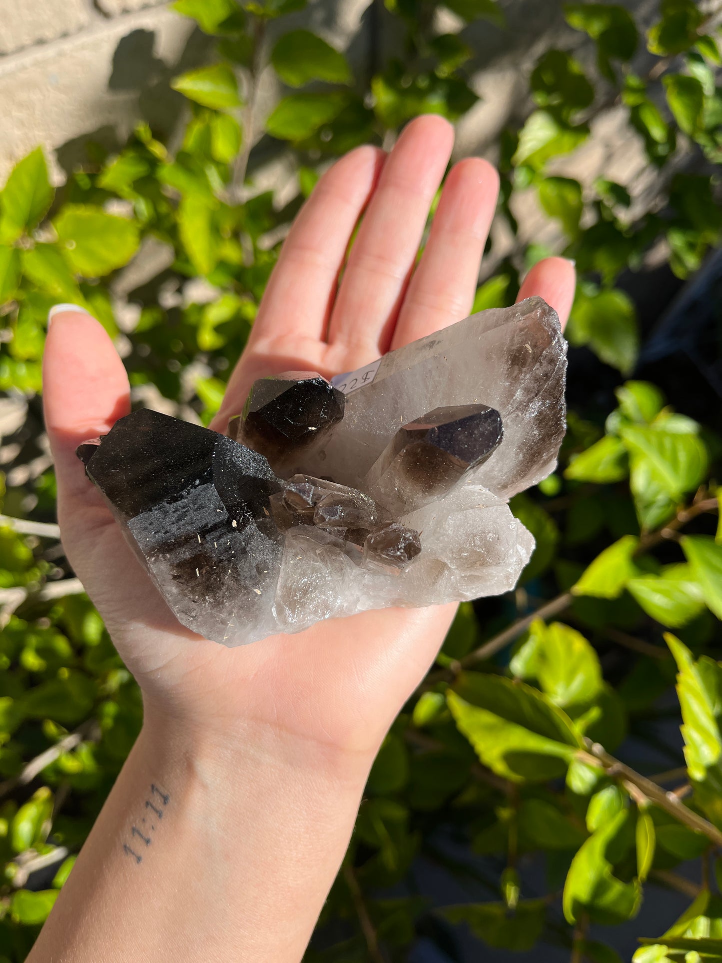 Smoky Quartz Cluster