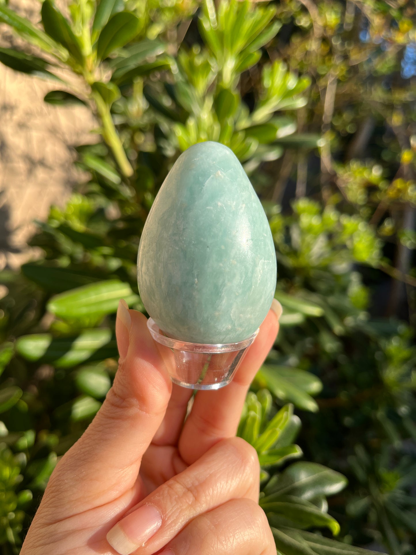 Amazonite Egg