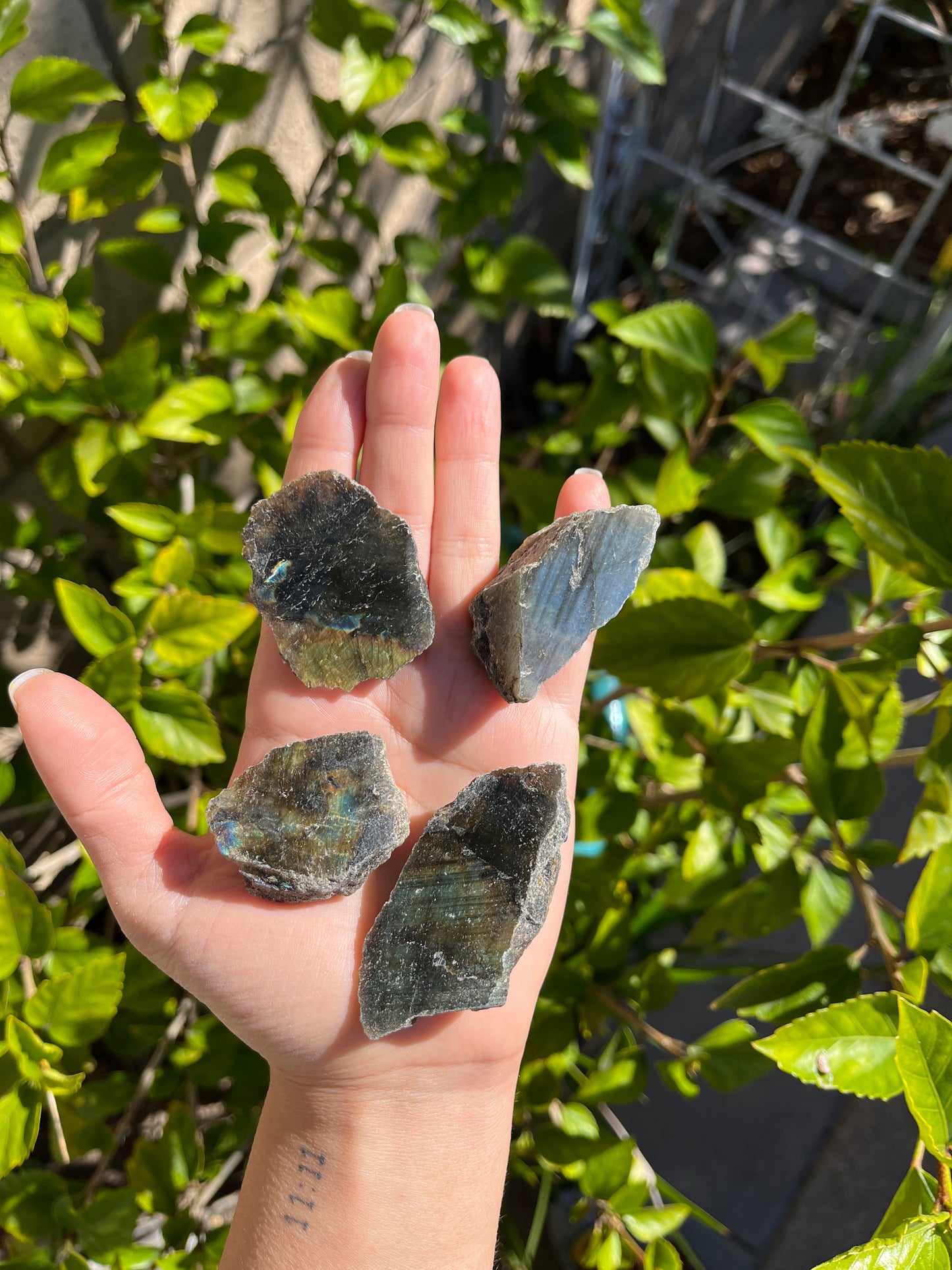 Labradorite(Raw)