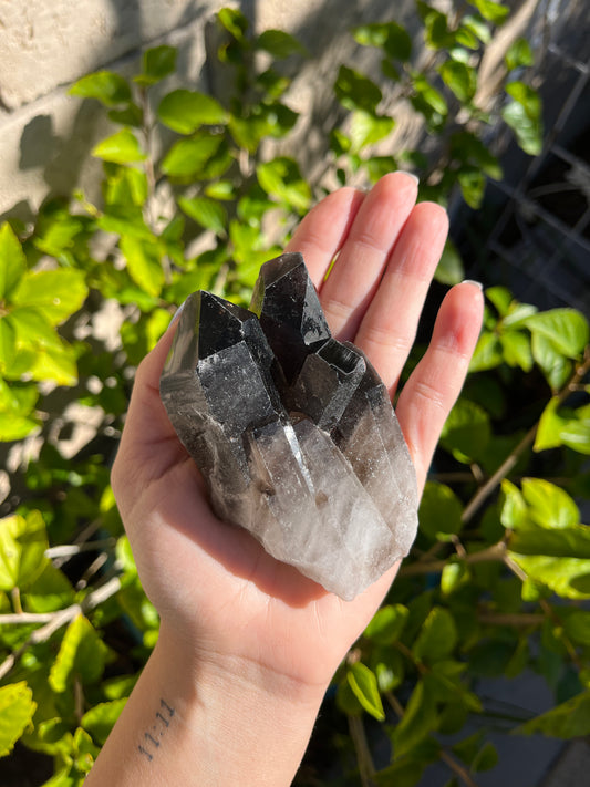 Smoky Quartz Cluster