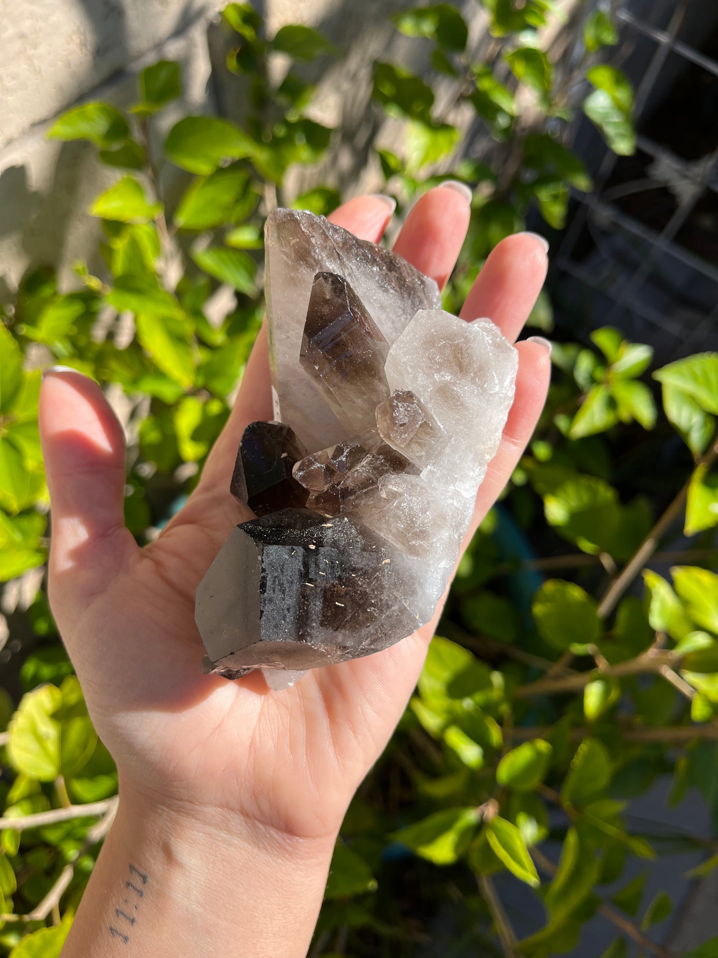 Smoky Quartz Cluster